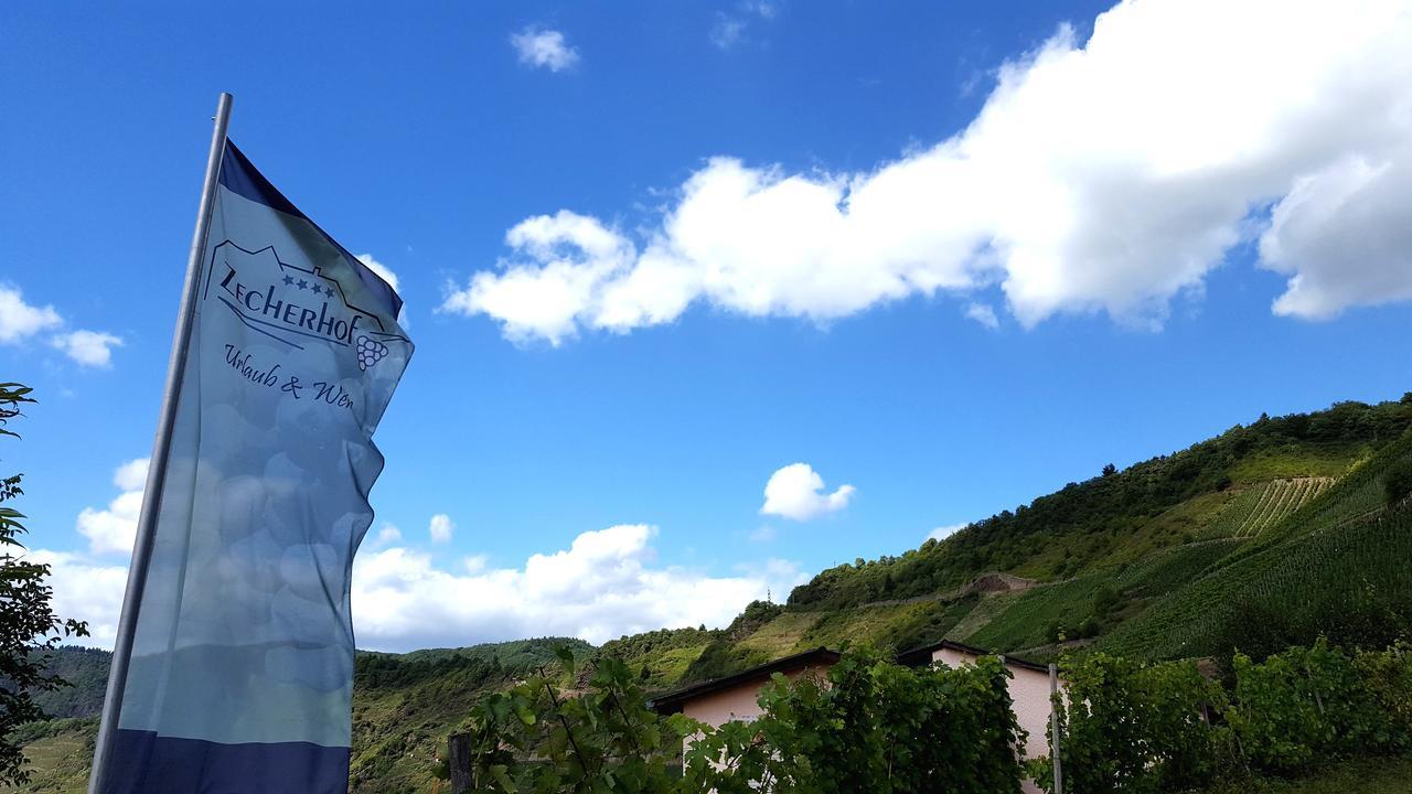 Urlaubsweingut Zecherhof Neef Zewnętrze zdjęcie